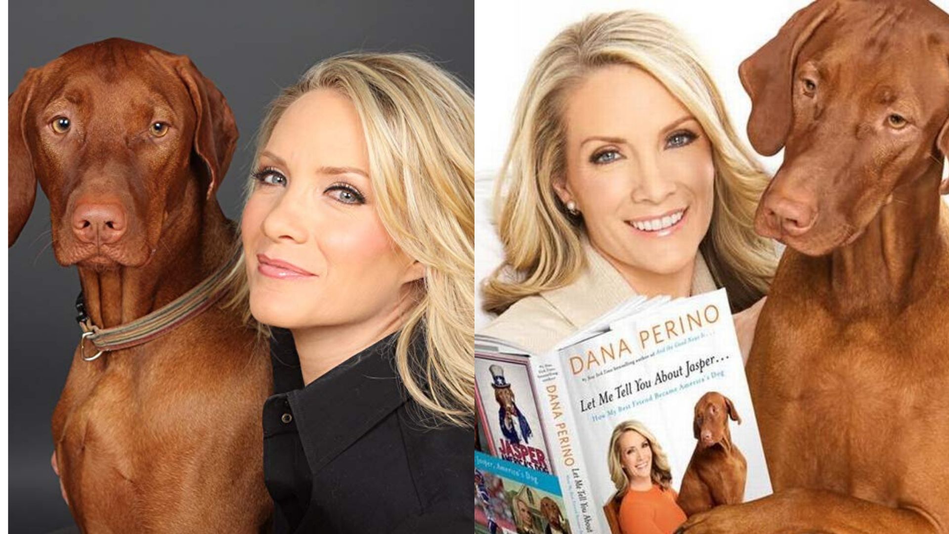 Dana Perino Husband Age Net Worth Salary Height Books