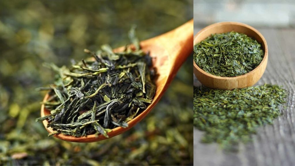 Green Tea Myths, benefits and Facts - Is Green Tea Healthy?