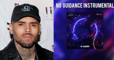 Chris Brown features Drake on his new track, “No Guidance "