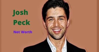 Josh Peck's Net Worth in 2023 - How Josh Peck Maintains His Worth?