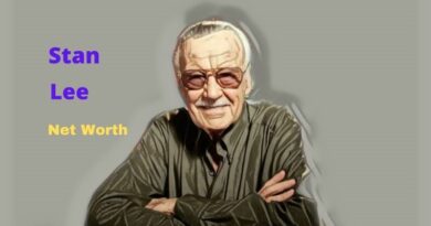 Stan Lee's Net Worth in 2023 - How comic book writer Stan Lee Maintains his Worth?