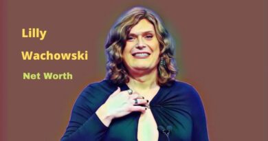 How much is Lilly Wachowski's net worth in 2023?