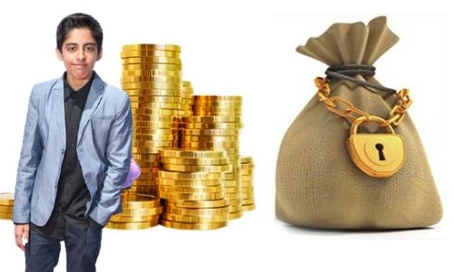 What is Karan Brar's Net Worth in 2024 and how does he make his money?