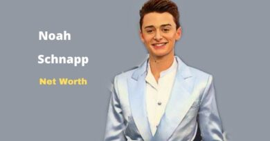 What is Noah Schnapp's Net Worth in 2023 and how does he make his money?
