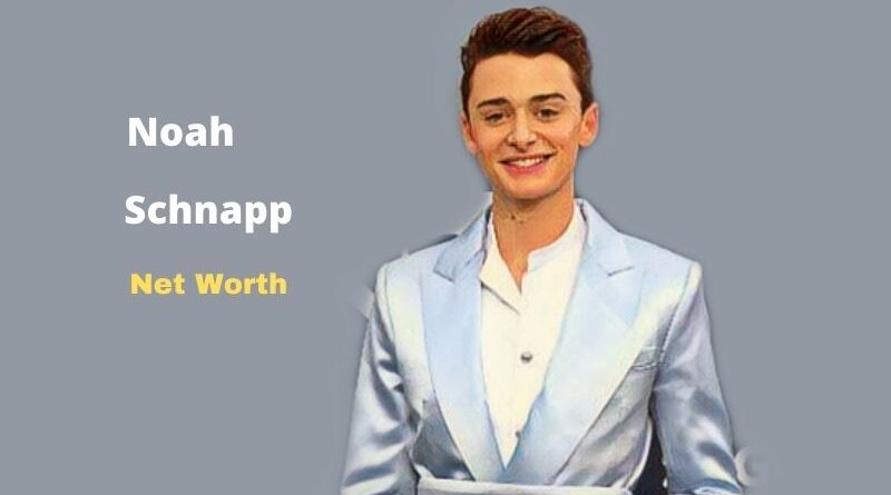 What is Noah Schnapp's Net Worth in 2023 and how does he make his money?