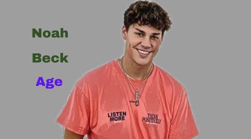 How Old is Noah Beck? Know the Age, Net Worth of Noah Beck