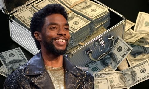 What is Chadwick Boseman's Net Worth in 2021 and how did he make his money?
