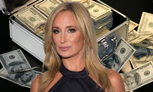 What is Sonja Morgan's Net Worth in 2024 and how does she make her money?