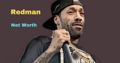 Redman's Net Worth in 2023 - How did rapper Redman earn his money?