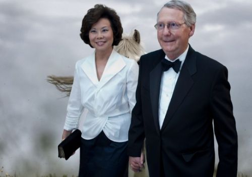 Who Is Elaine Chao, Mitch McConnell's wife? 