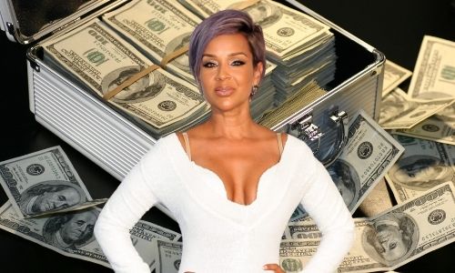 How did Lisa Raye's Net Worth and wealth Reach $10 Million in 2024?