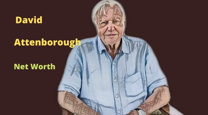 David Attenborough's Net Worth 2024 - Bio, Age, Wife, Kids