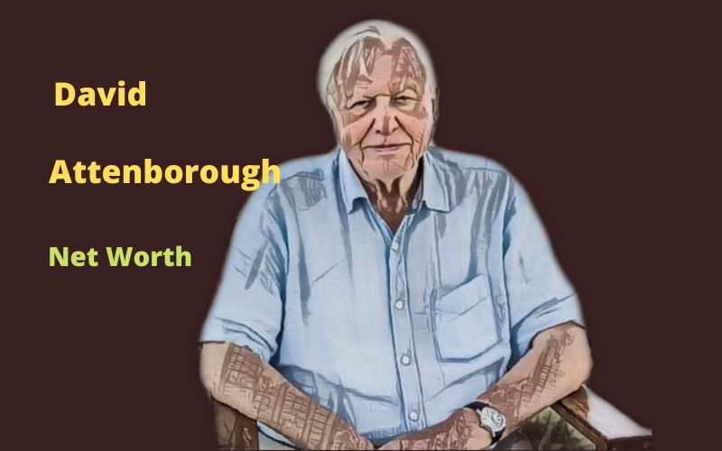 David Attenborough's Net Worth 2024 Bio, Age, Wife, Kids