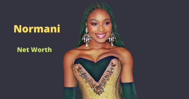 Normani's Net Worth in 2024 - Bio, Age, Height, Career